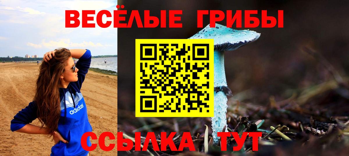 Галлюциногенные грибы GOLDEN TEACHER Усть-Илимск