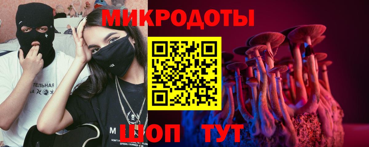 Усть-Илимск  Галлюциногенные грибы прущие грибы  Вход с VPN 